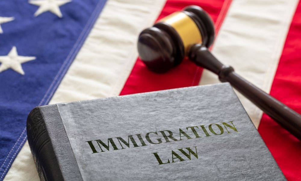 The Complexities of Immigration Law